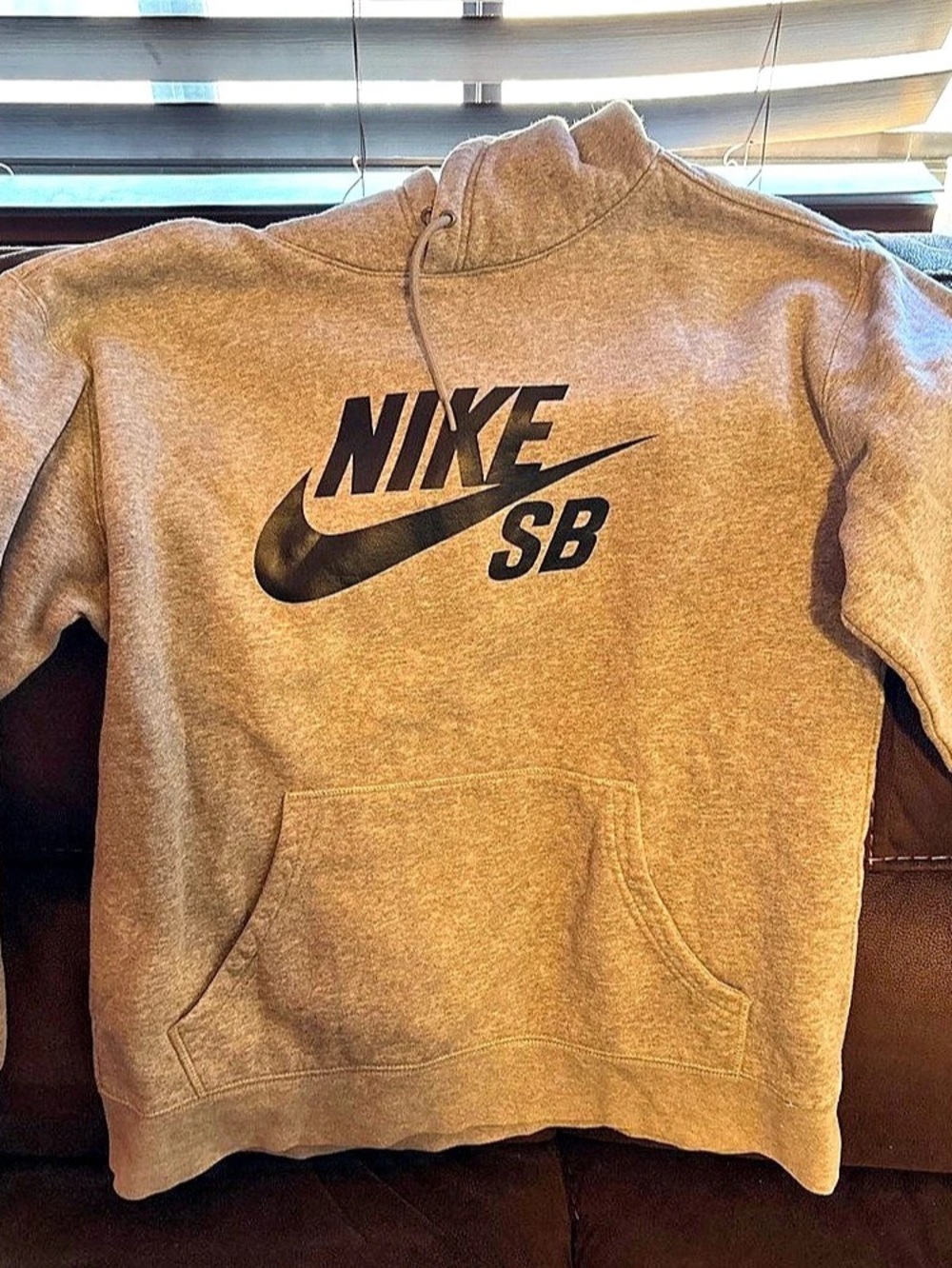 Nike SB Essential Logo Fleece Hoodie Gray Small